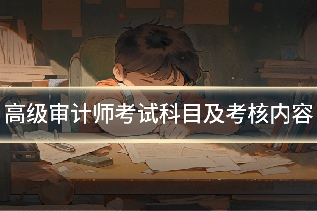 高级审计师考试科目及考核内容