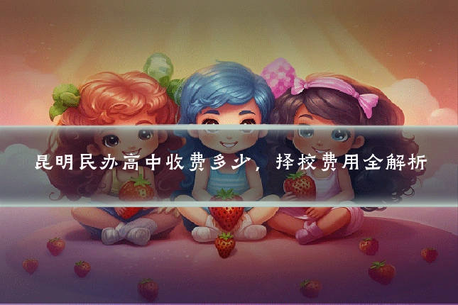 昆明民办高中收费多少,择校费用全解析