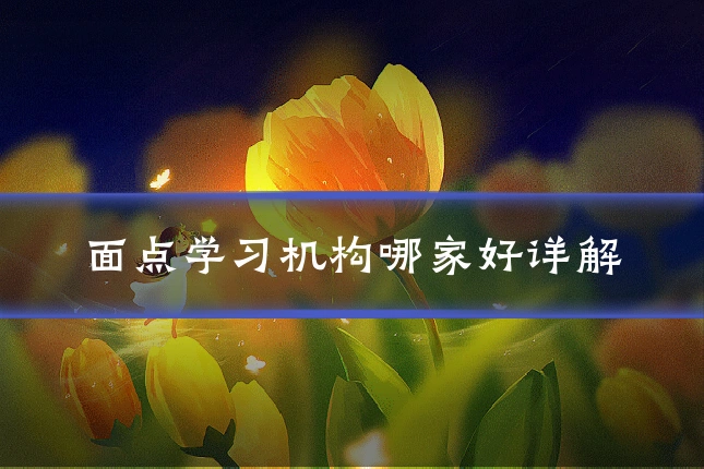 面点学习机构哪家好详解