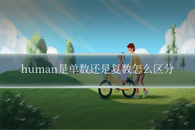 human是单数还是复数怎么区分