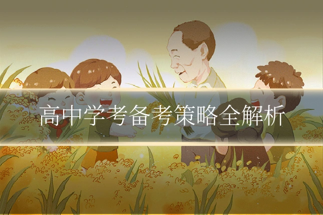 高中学考备考策略全解析