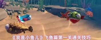 我是小鱼儿基本操作流程详解