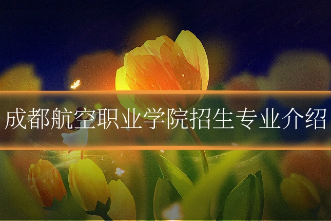 成都航空职业学院招生专业介绍