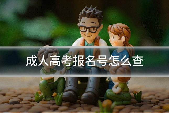 成人高考报名号怎么查
