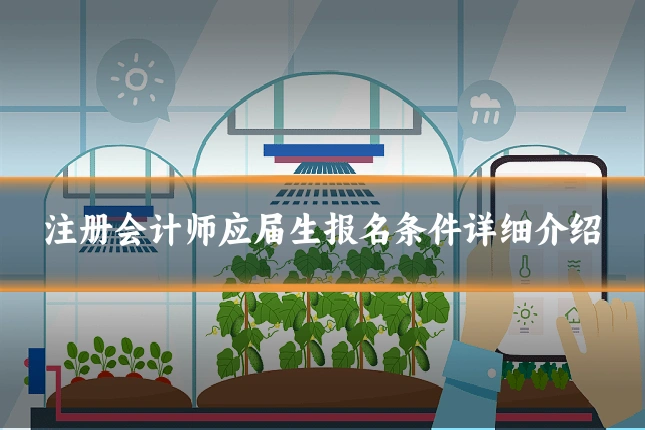 注册会计师应届生报名条件详细介绍
