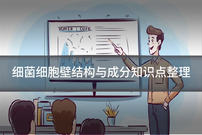 细菌细胞壁结构与成分知识点整理