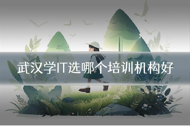 武汉学IT选哪个培训机构好