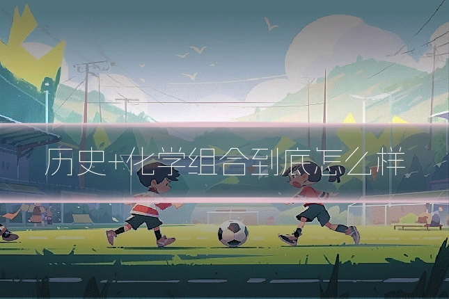 历史+化学组合到底怎么样