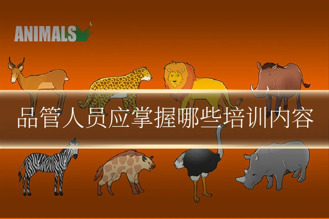 品管人员应掌握哪些培训内容