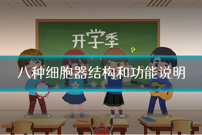 八种细胞器结构和功能说明