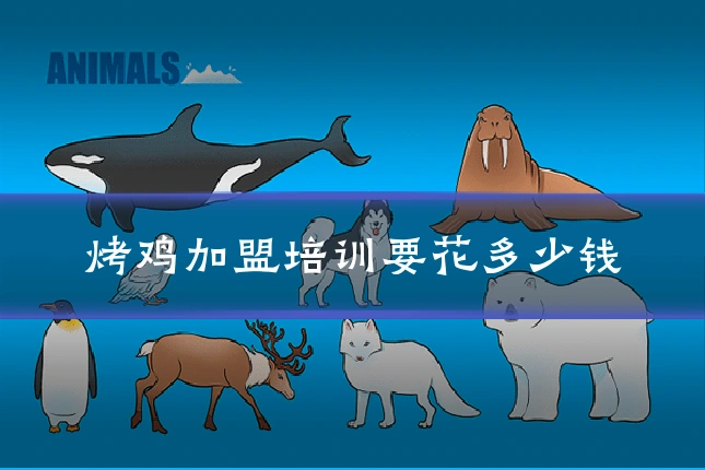 烤鸡加盟培训要花多少钱