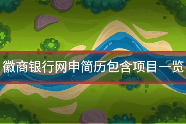 徽商银行网申简历包含项目一览