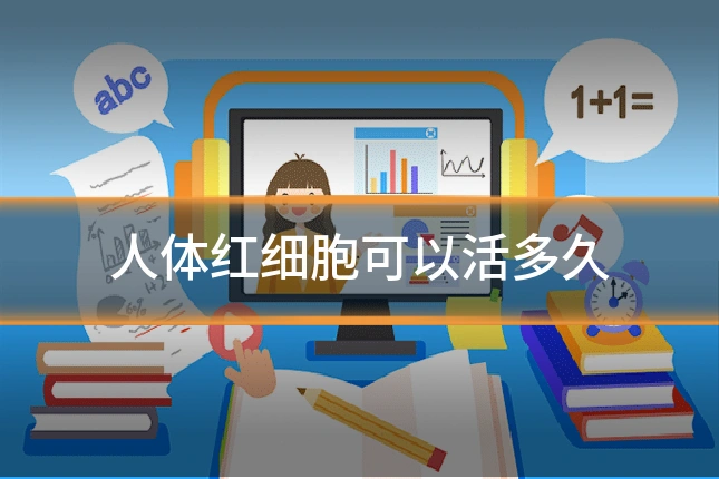 人体红细胞可以活多久