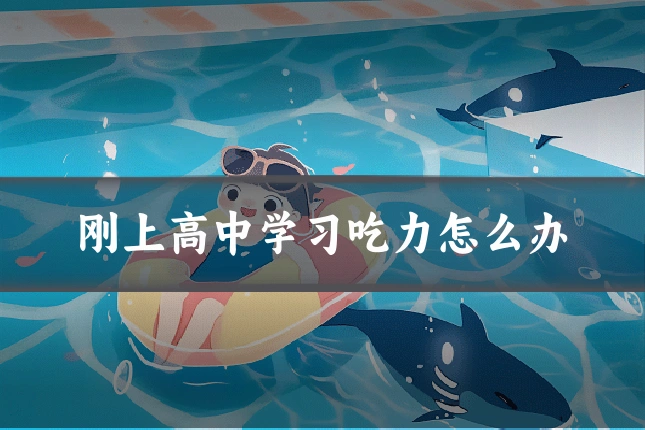 刚上高中学习吃力怎么办