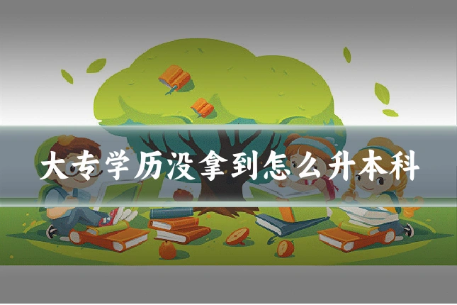 大专学历没拿到怎么升本科