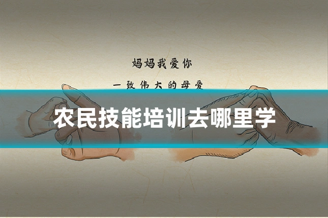 农民技能培训去哪里学
