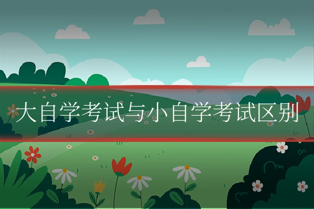 大自学考试与小自学考试区别