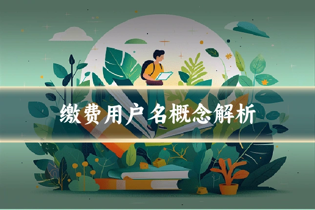 缴费用户名概念解析
