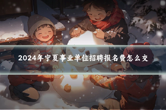 2024年宁夏事业单位招聘报名费怎么交