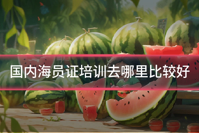 国内海员证培训去哪里比较好