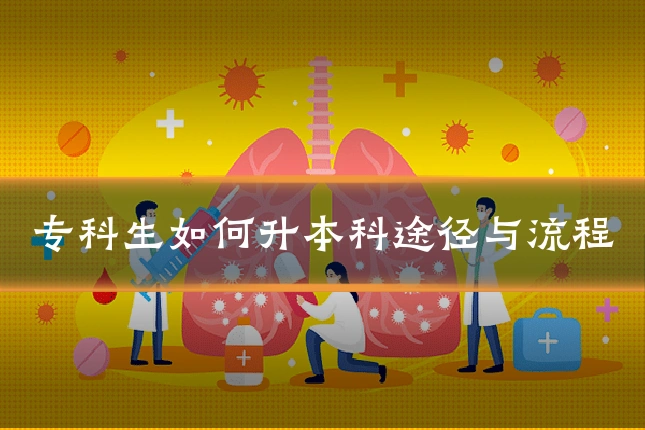 专科生如何升本科途径与流程