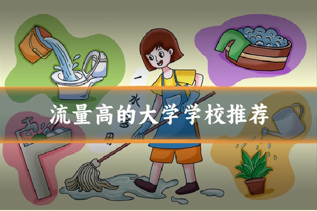 流量高的大学学校推荐