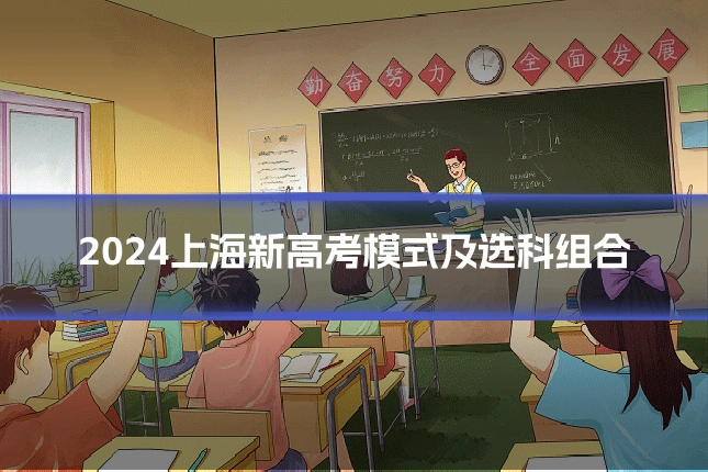 2024上海新高考模式及选科组合