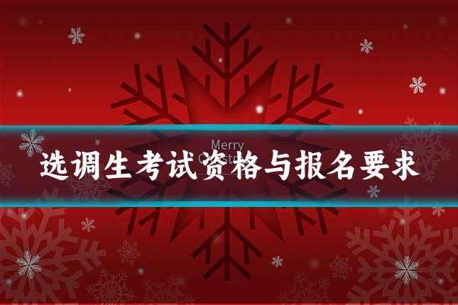 选调生考试资格与报名要求