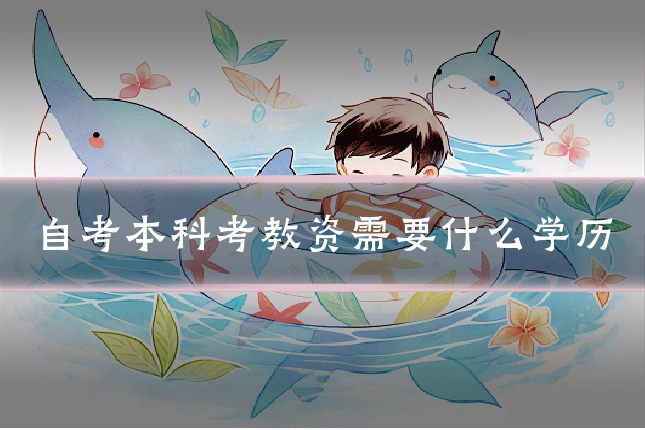 自考本科考教资需要什么学历