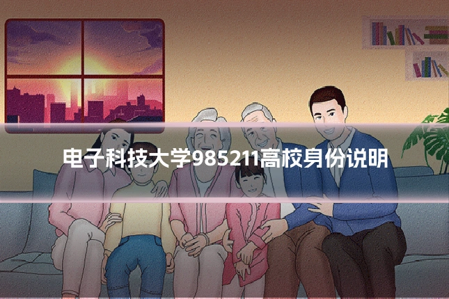 电子科技大学985211高校身份说明