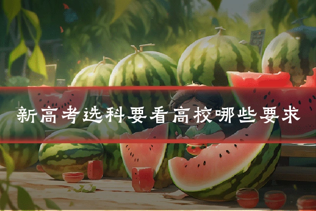 新高考选科要看高校哪些要求