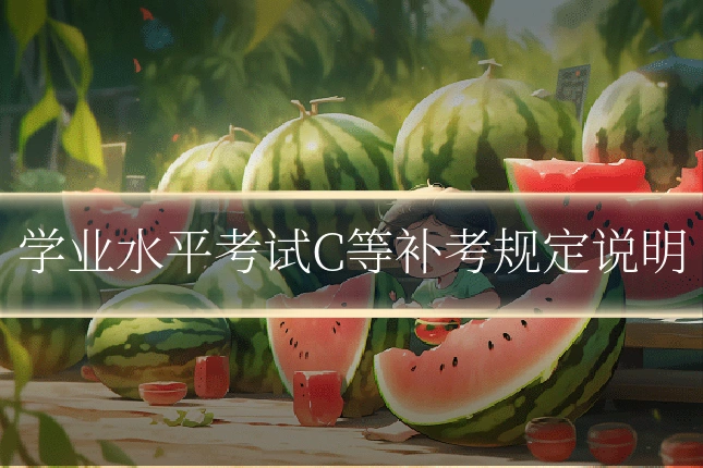 学业水平考试C等补考规定说明