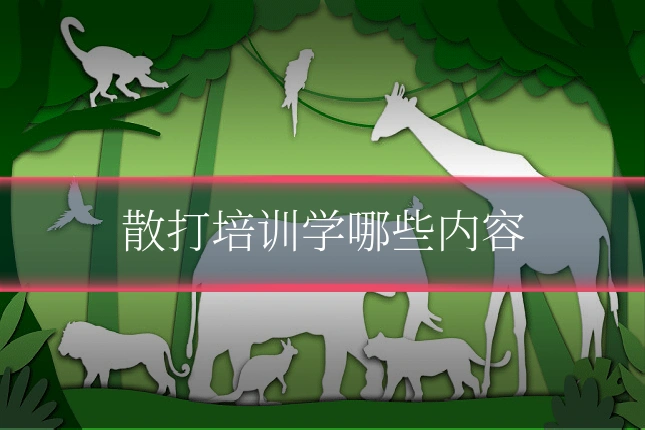 散打培训学哪些内容
