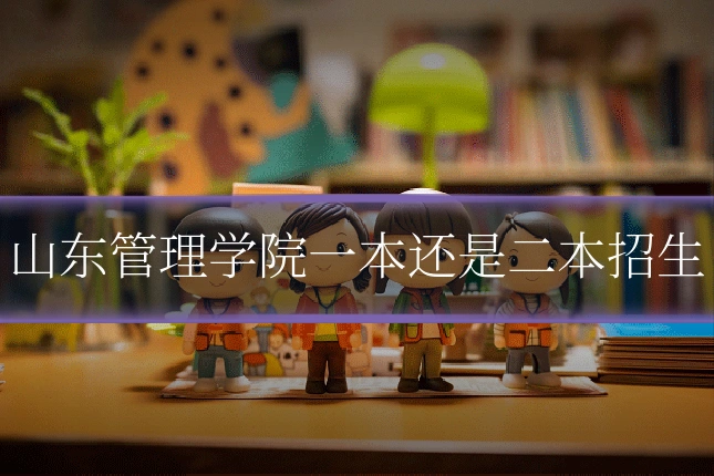 山东管理学院一本还是二本招生