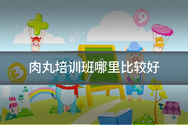 肉丸培训班哪里比较好