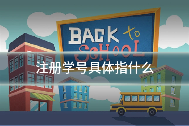 注册学号具体指什么