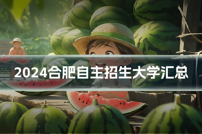 2024合肥自主招生大学汇总