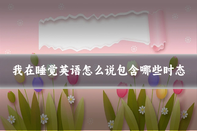 我在睡觉英语怎么说包含哪些时态