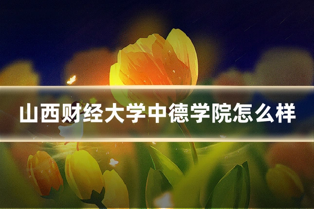 山西财经大学中德学院怎么样