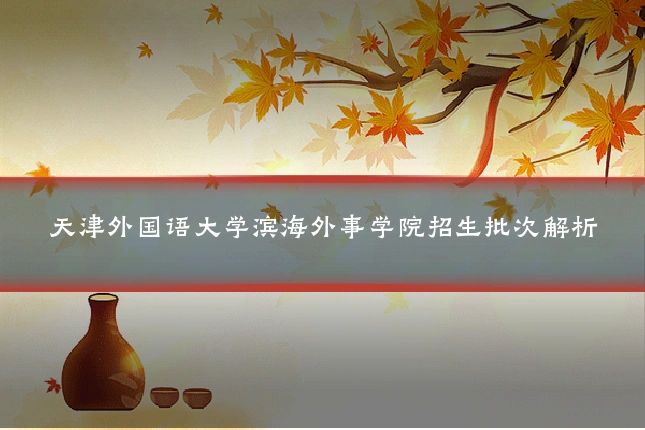 天津外国语大学滨海外事学院招生批次解析