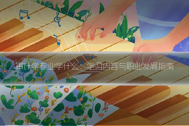 审计学专业学什么:学习内容与职业发展指南