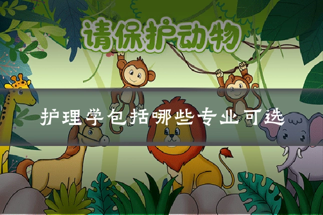 护理学包括哪些专业可选