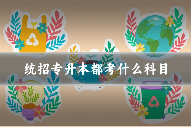 统招专升本都考什么科目