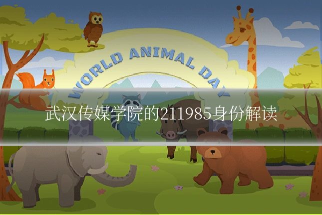 武汉传媒学院的211985身份解读
