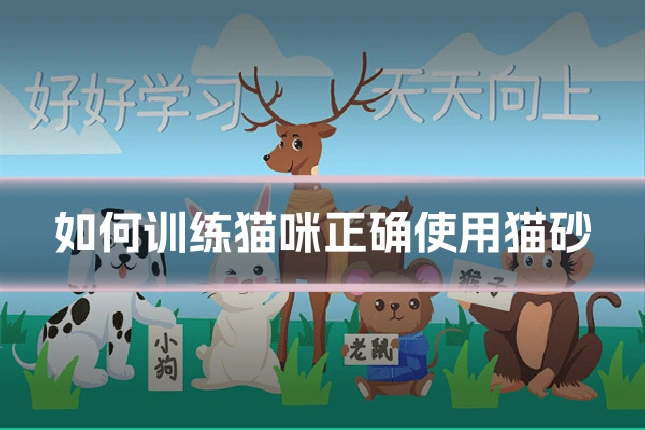 如何训练猫咪正确使用猫砂