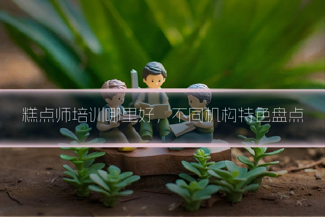 糕点师培训哪里好,不同机构特色盘点