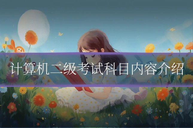 计算机二级考试科目内容介绍
