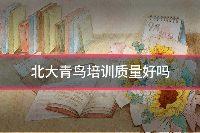 北大青鸟培训质量好吗