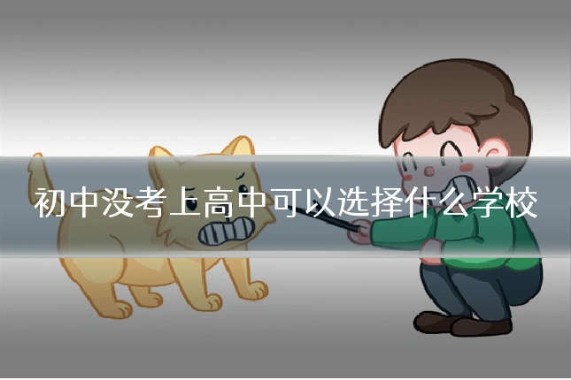 初中没考上高中可以选择什么学校