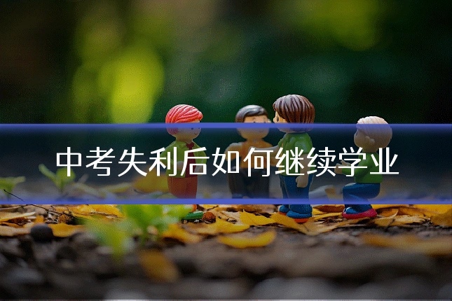 中考失利后如何继续学业